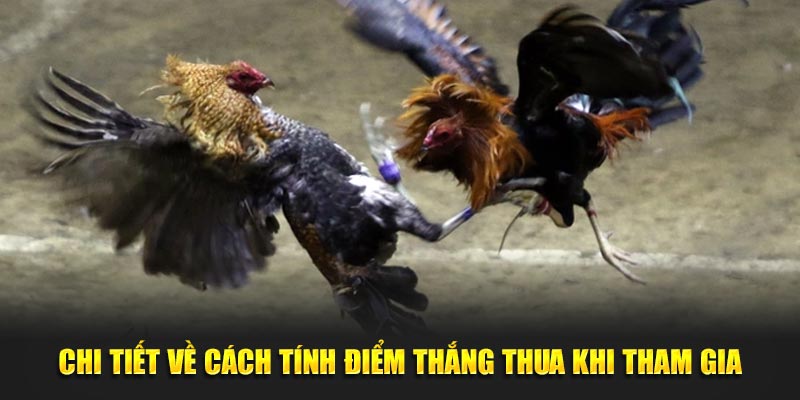 Chi tiết về cách tính điểm thắng thua khi tham gia