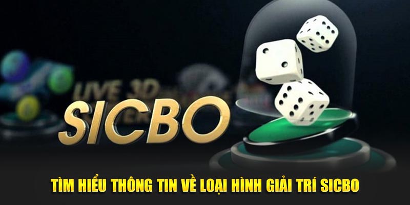 Tìm hiểu thông tin về loại hình giải trí sicbo