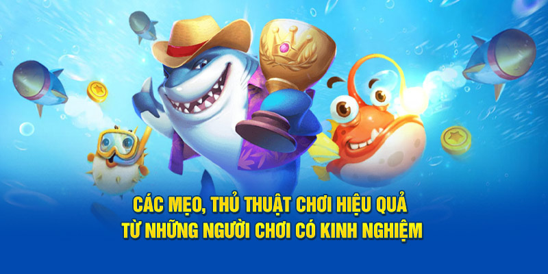 Các mẹo, thủ thuật chơi hiệu quả từ những người chơi có kinh nghiệm.