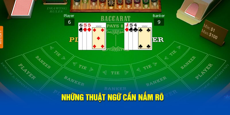 Những thuật ngữ cần nắm rõ