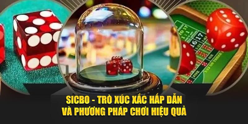 Sicbo - Trò Xúc Xắc Hấp Dẫn Và Phương Pháp Chơi Hiệu Quả