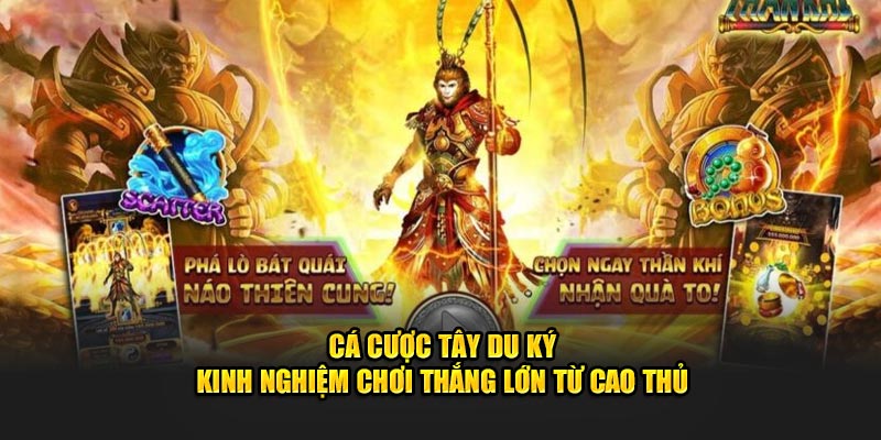 Cá Cược Tây Du Ký - Kinh Nghiệm Chơi Thắng Lớn Từ Cao Thủ