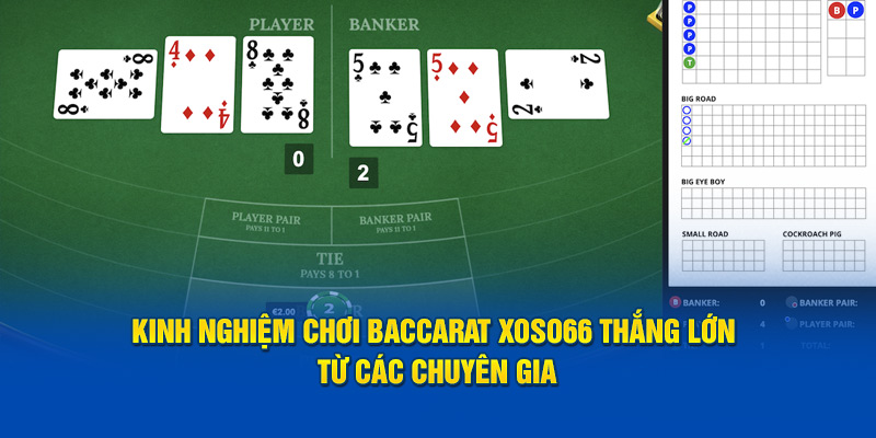 Kinh Nghiệm Chơi Baccarat Xoso66 Thắng Lớn Từ Chuyên Gia